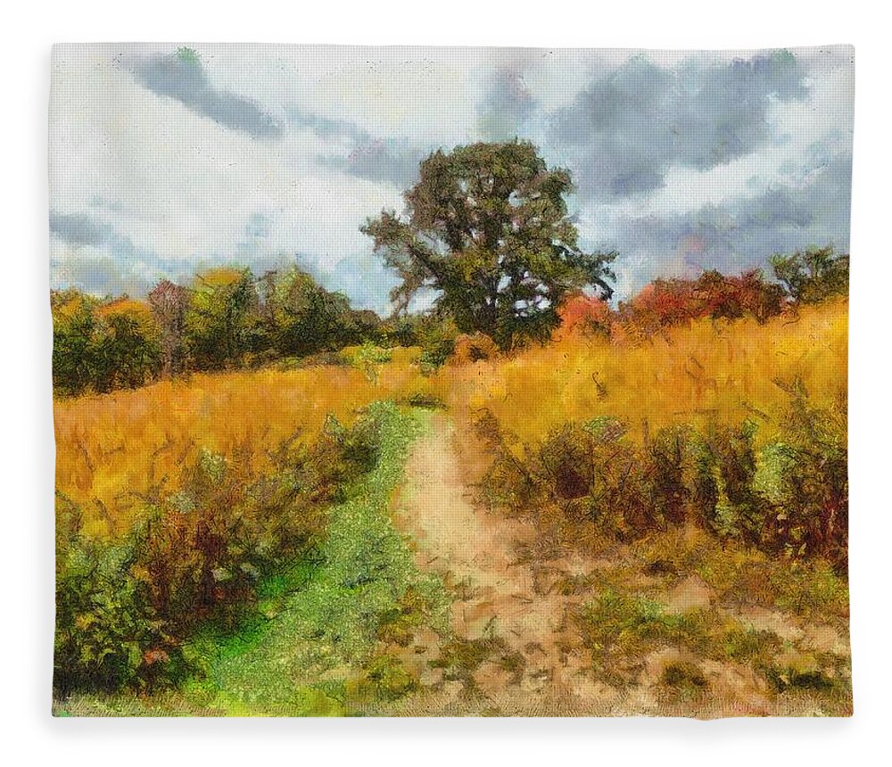 Field Fleece Blanket featuring the mixed media Autumn Afternoon on the Trail by Christopher Reed