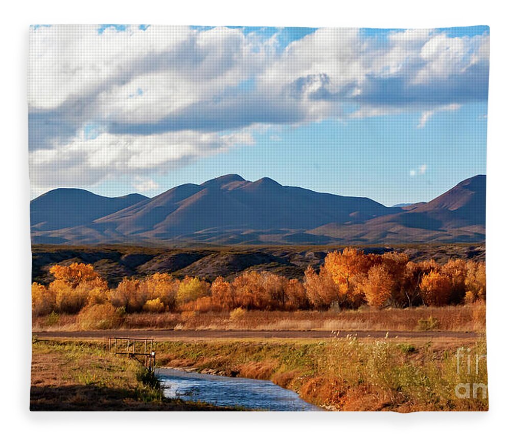 New Mexico Fleece Blanket featuring the photograph Autumn Bosque del Apache by Neala McCarten