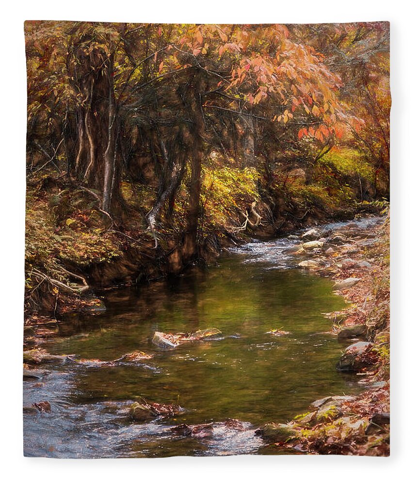 Barns Fleece Blanket featuring the photograph Autumn Branches over the Stream Painting by Debra and Dave Vanderlaan