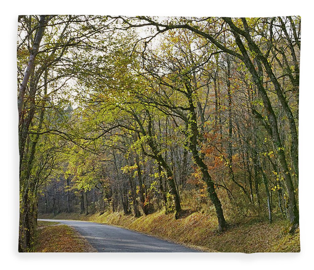 Landscape Fleece Blanket featuring the photograph Autumn colors by Karine GADRE