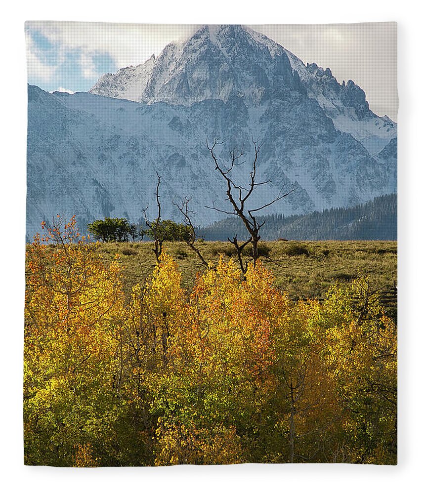 Colorado Fleece Blanket featuring the painting Autumn Dreams by Aaron Spong