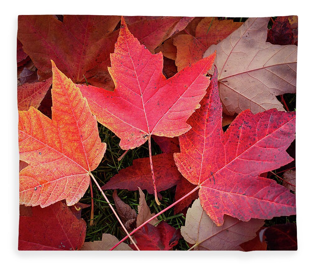 Nature Fleece Blanket featuring the digital art Autumn / Fall leaves Painting by Rick Deacon