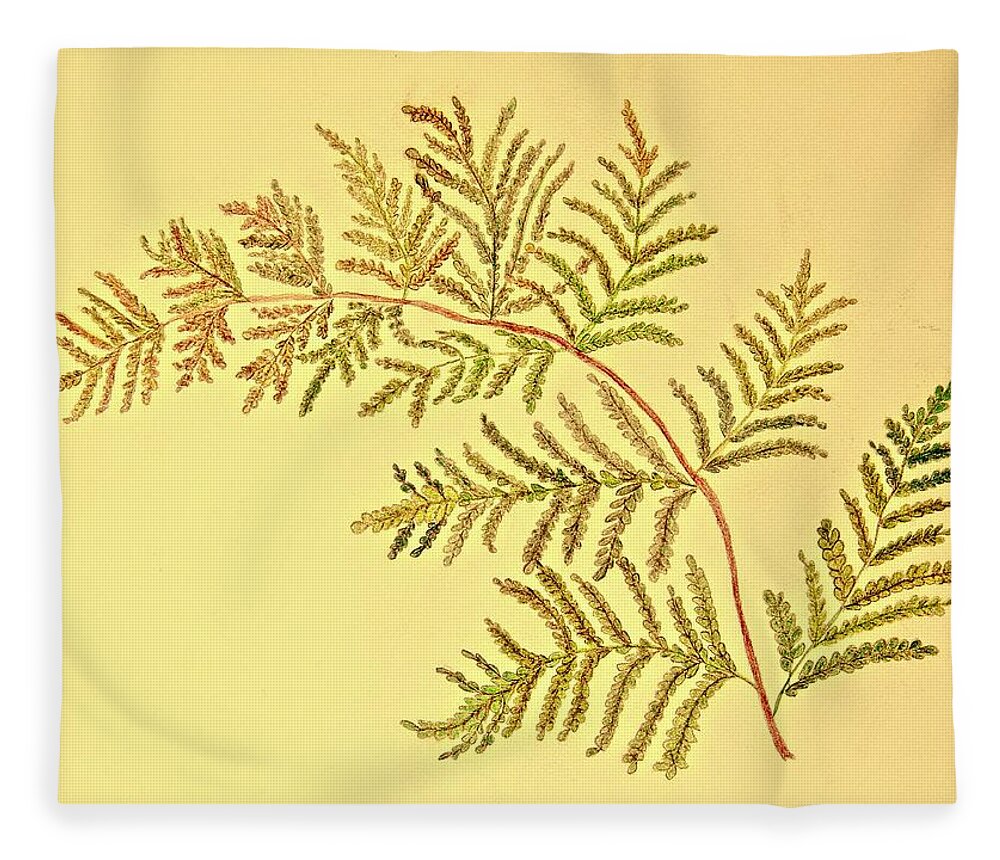 Autumn Fleece Blanket featuring the drawing Autumn Fern by Karen Nice-Webb