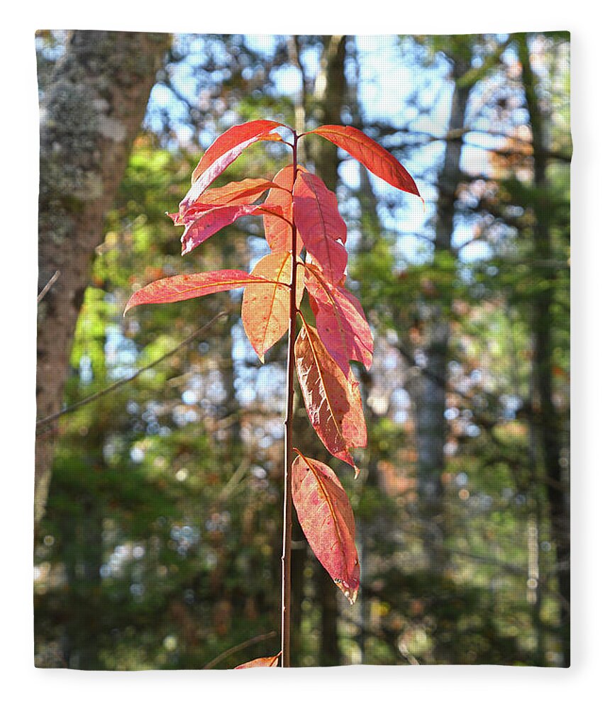 Tennessee Fleece Blanket featuring the photograph Autumn Foliage by Phil Perkins