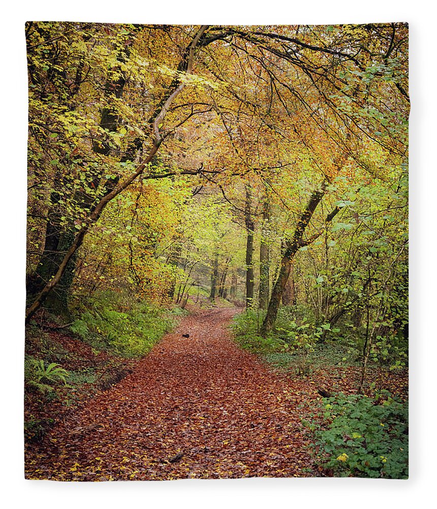 Cardiff Fleece Blanket featuring the photograph Autumn, in a nutshell by Gavin Lewis