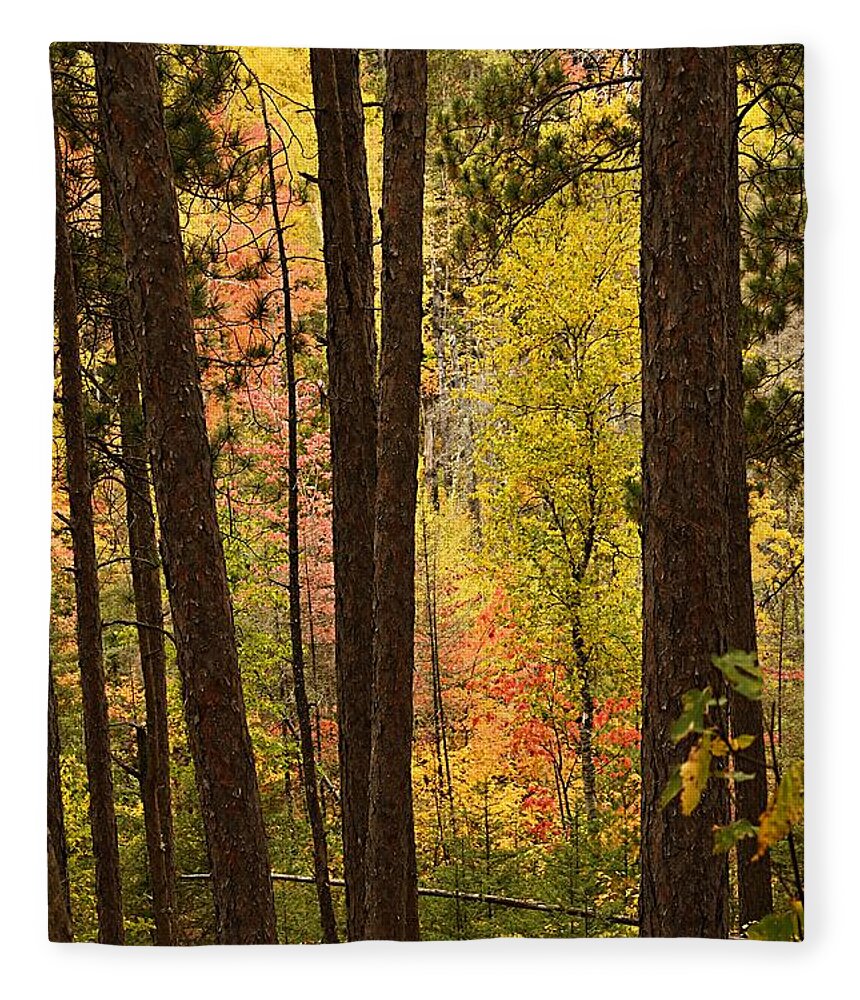 Landscape Fleece Blanket featuring the photograph Autumn in Hiding by Larry Ricker
