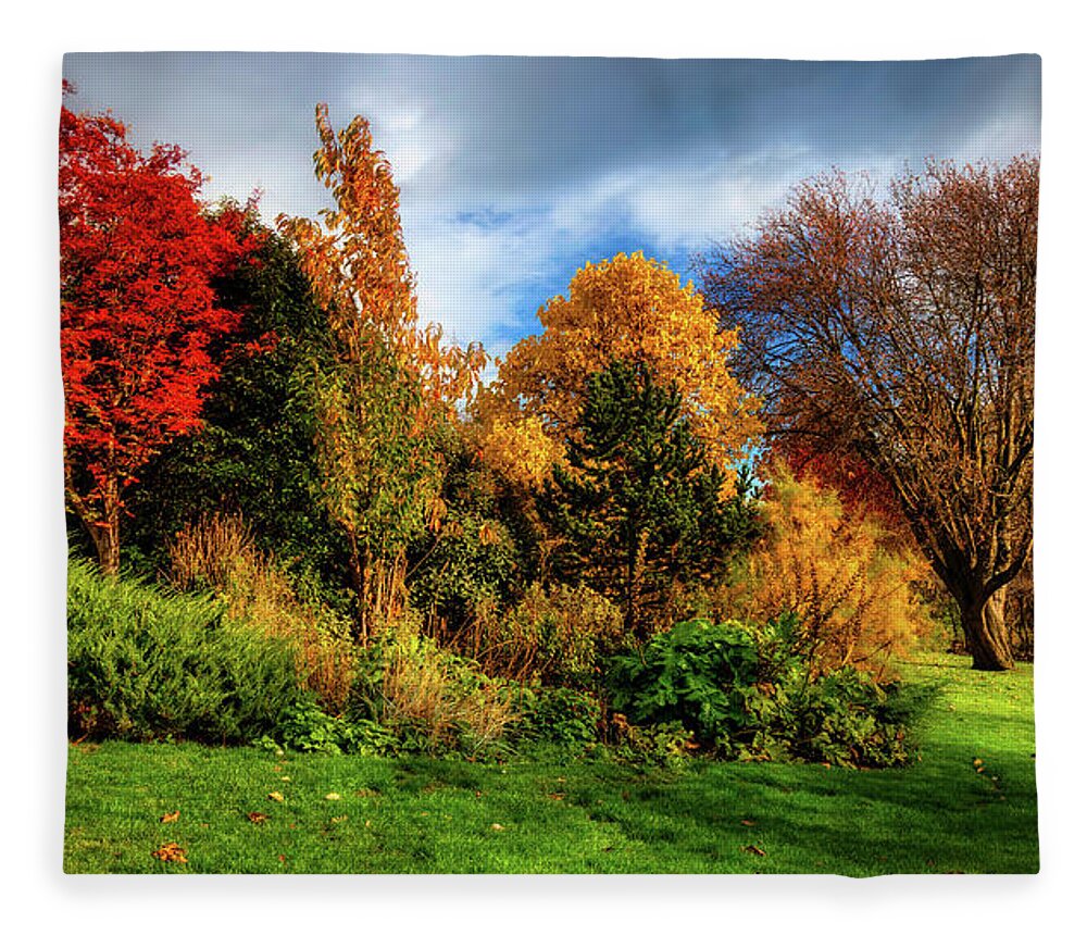 Fall Fleece Blanket featuring the photograph Autumn in Inveresk by Micah Offman