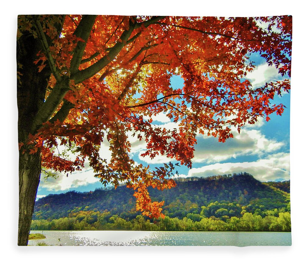 Landscape Fleece Blanket featuring the photograph Autumn in Minnesota by Susie Loechler
