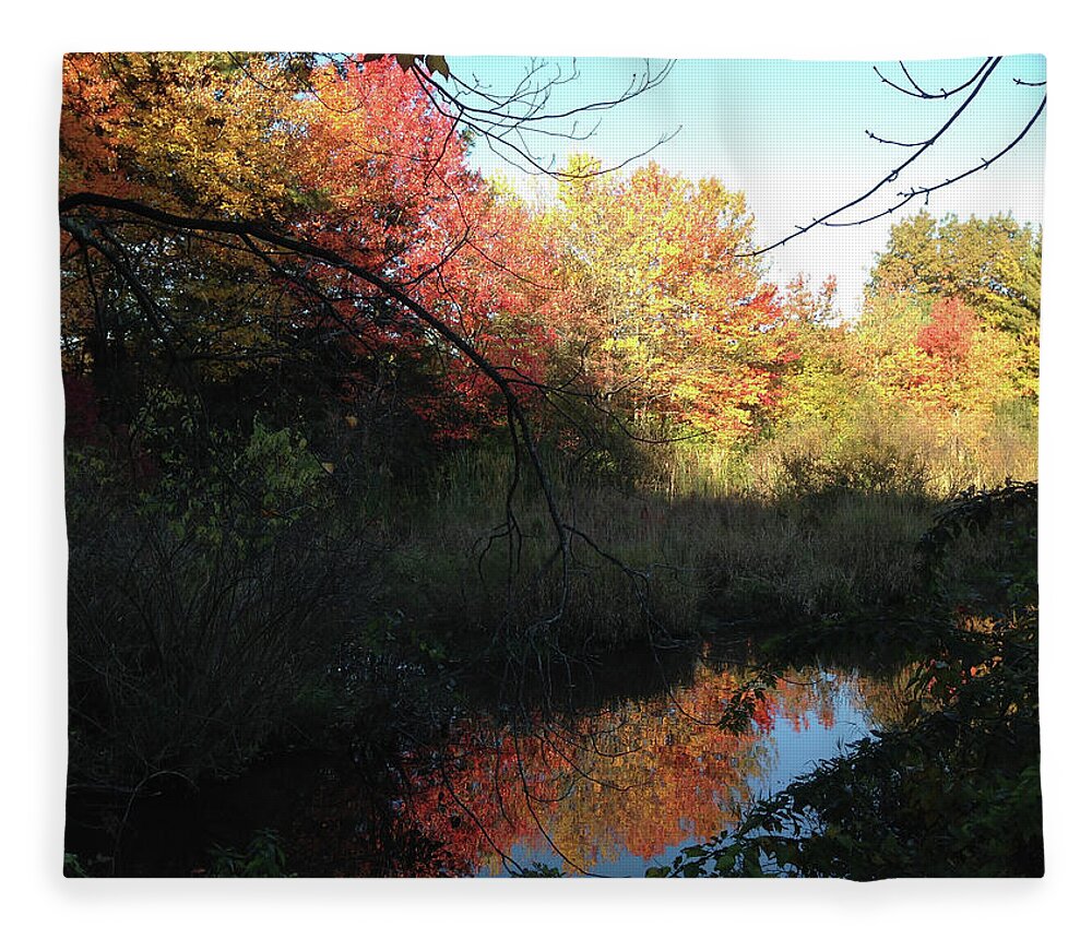 Salem Fleece Blanket featuring the photograph Autumn in Salem by Roxy Rich