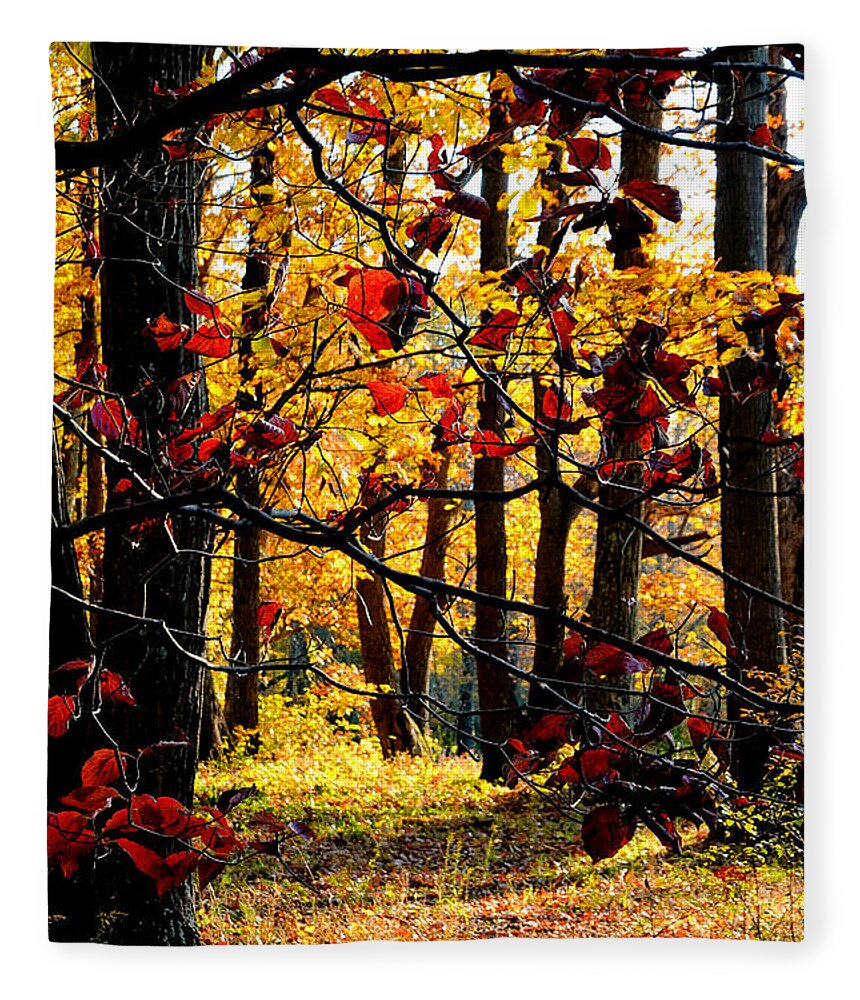 Nature Fleece Blanket featuring the photograph Autumn in the Piedmont No. 3 by Steve Ember