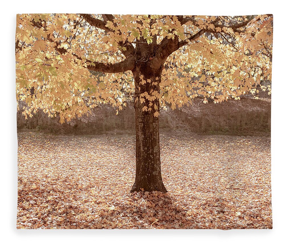 Carolina Fleece Blanket featuring the photograph Autumn is Country Golden by Debra and Dave Vanderlaan