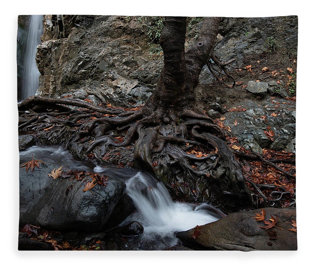 Autumn Fleece Blanket featuring the photograph Autumn landscape in the river by Michalakis Ppalis