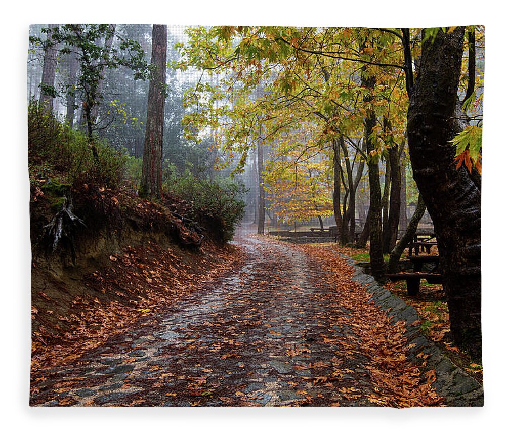 Autumn Fleece Blanket featuring the photograph Autumn landscape with trees and Autumn leaves on the ground after rain by Michalakis Ppalis