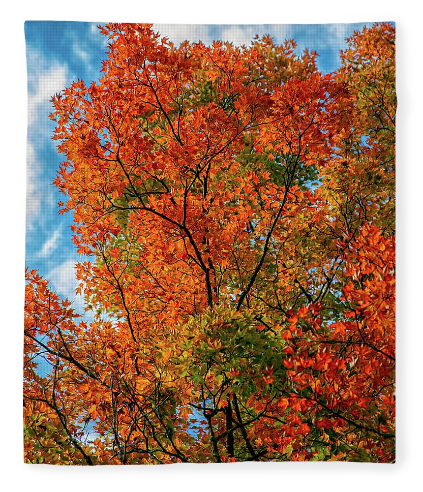 Autumn Orange Fleece Blanket featuring the photograph Autumn Orange by Jaki Miller