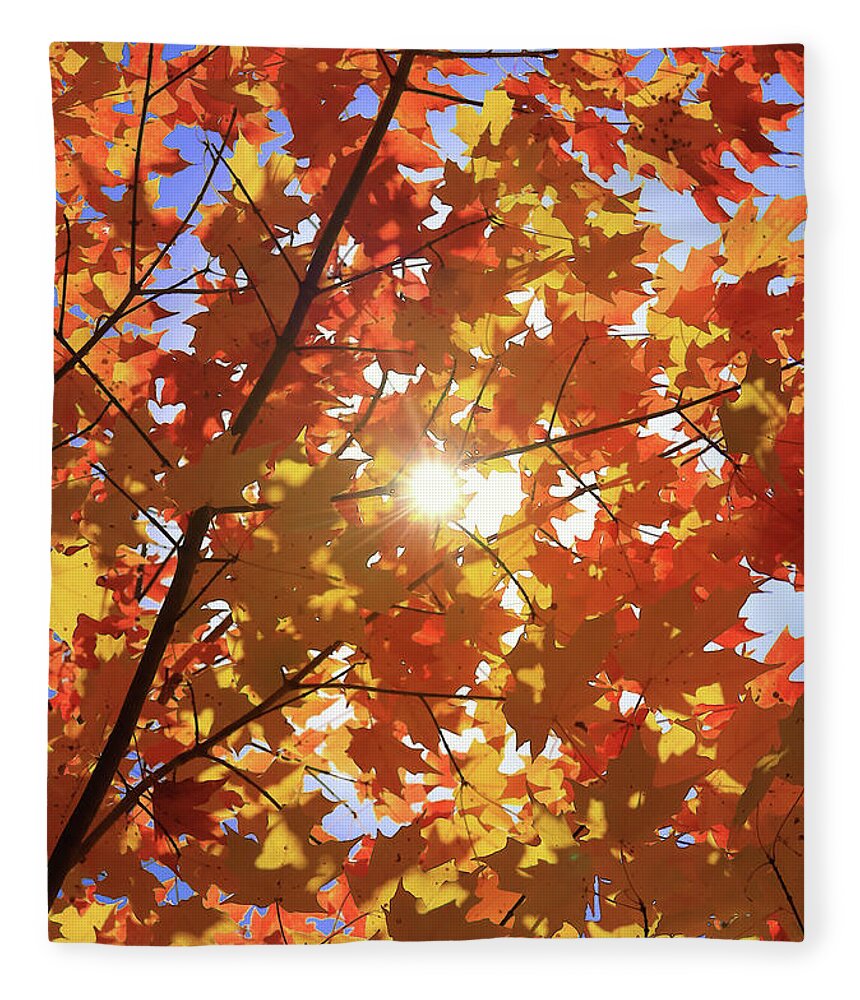  Fleece Blanket featuring the photograph Autumn Palette by Rob Blair