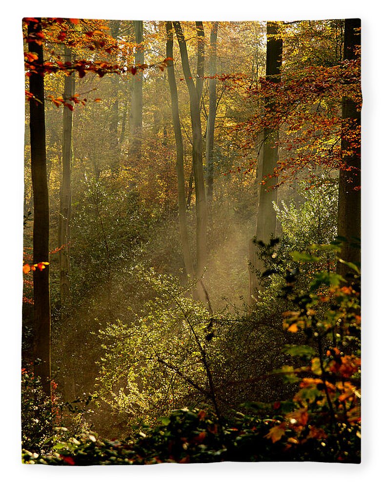 November Fleece Blanket featuring the photograph Autumn Rays 2021 by Richard Cummings