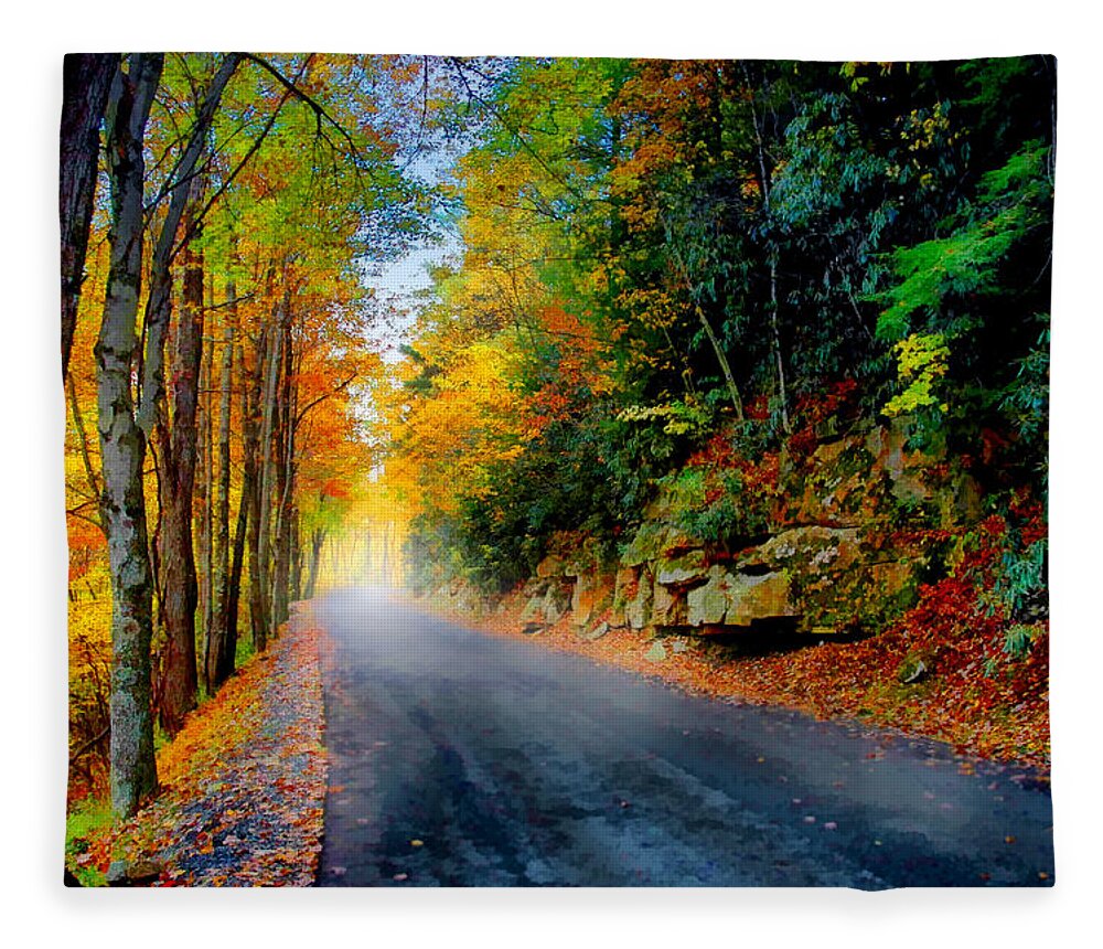 Photo Fleece Blanket featuring the mixed media Autumn Road by Anthony M Davis