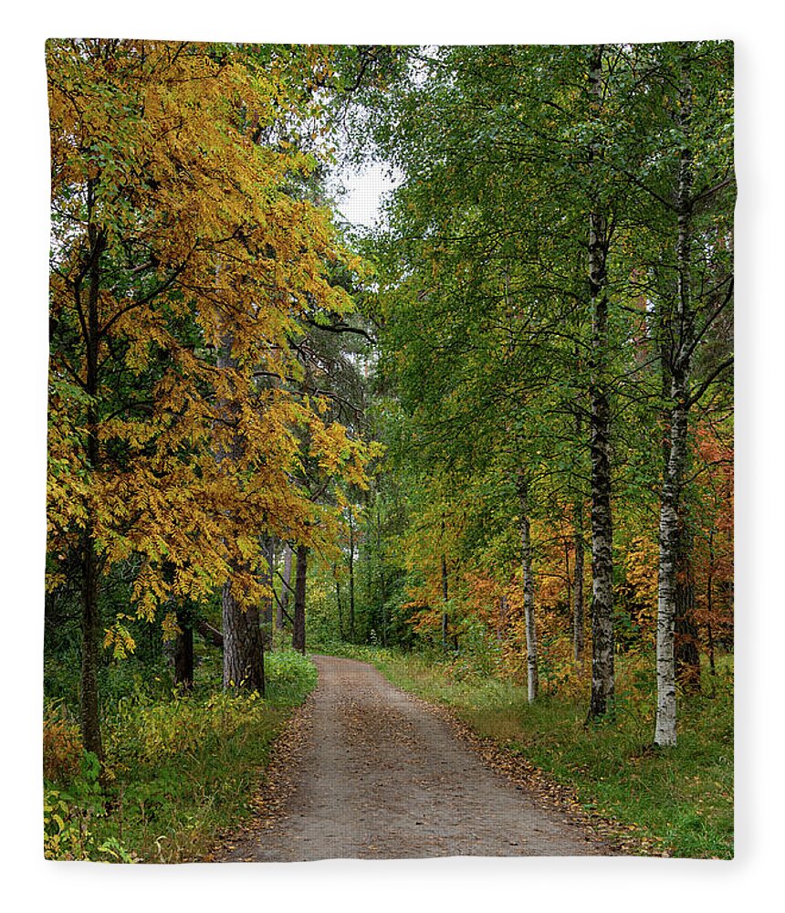 Autumn Fleece Blanket featuring the photograph Autumn season forest landscape by Michalakis Ppalis