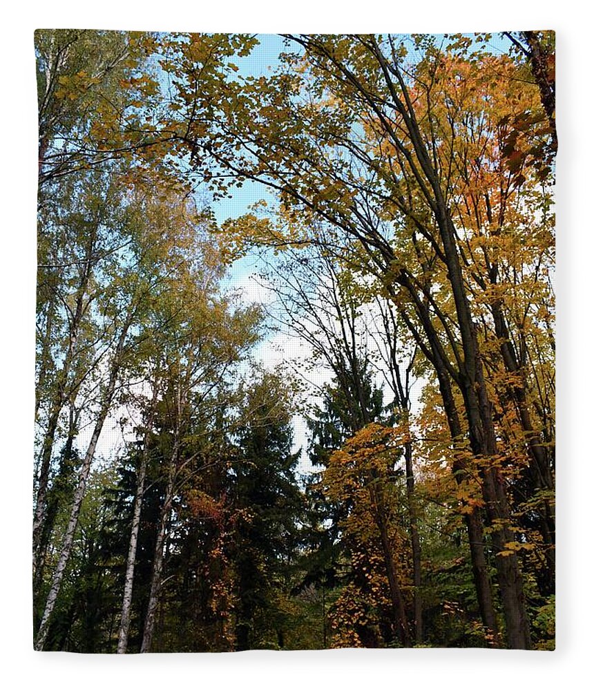 Nature Fleece Blanket featuring the photograph Autumn Symphony In The Forest 03 by Leonida Arte
