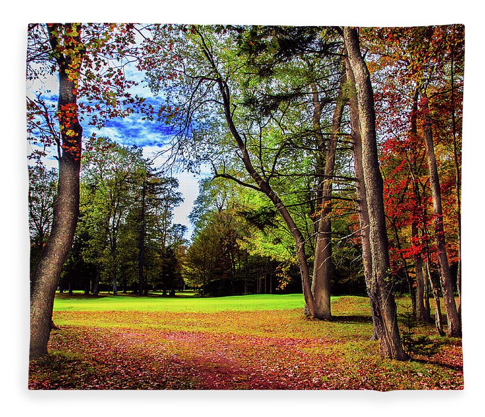 Autumn Warmth Fleece Blanket featuring the photograph Autumn Warmth by David Patterson