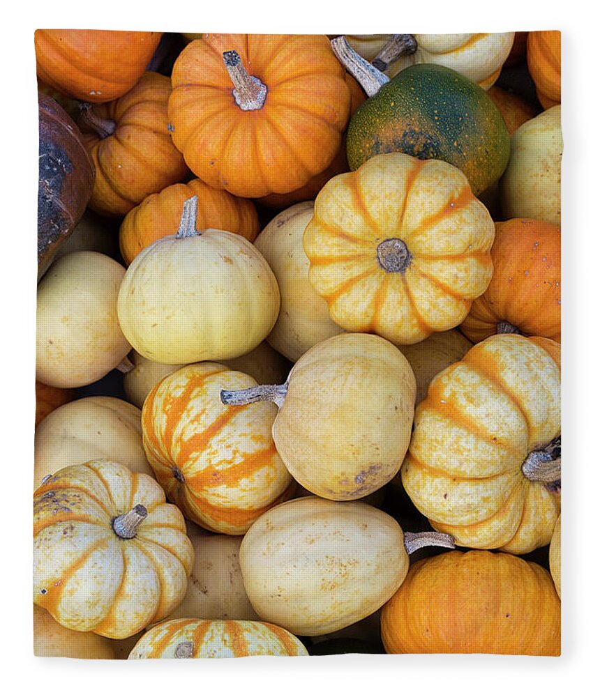 Pumpkin Fleece Blanket featuring the photograph Autumnal Pumpkins and Squashes by Tim Gainey