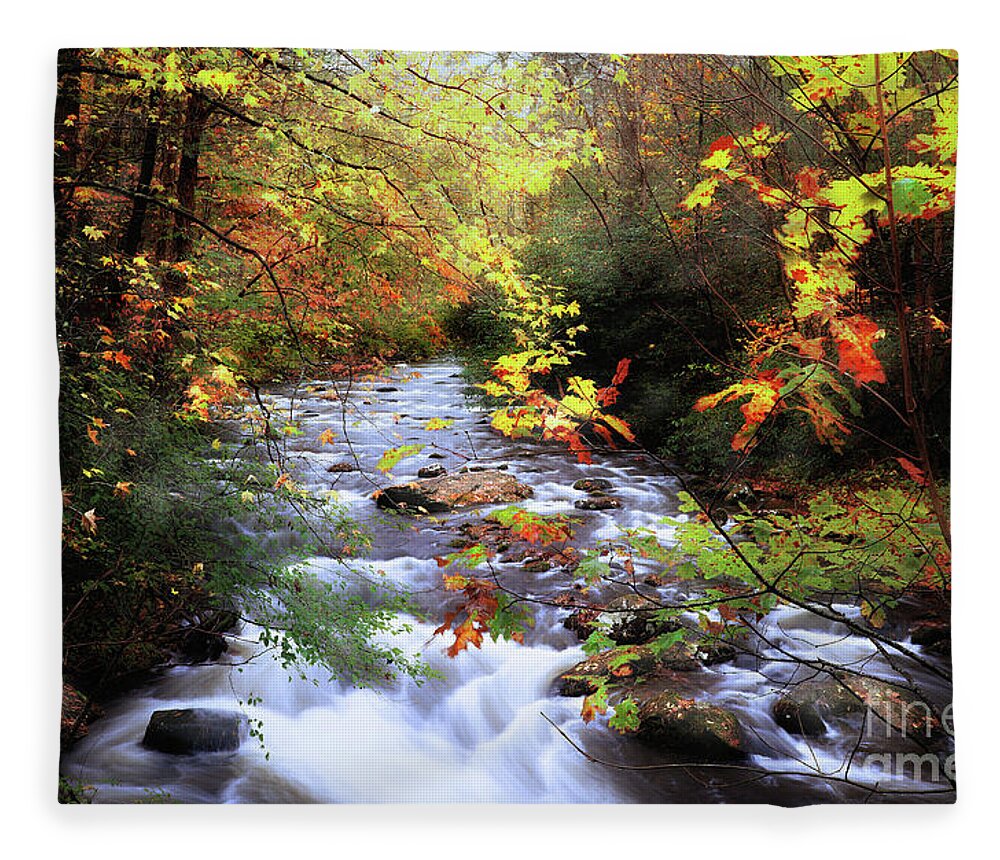 Fall Colors Fleece Blanket featuring the photograph Autumn's Glory by Rick Lipscomb