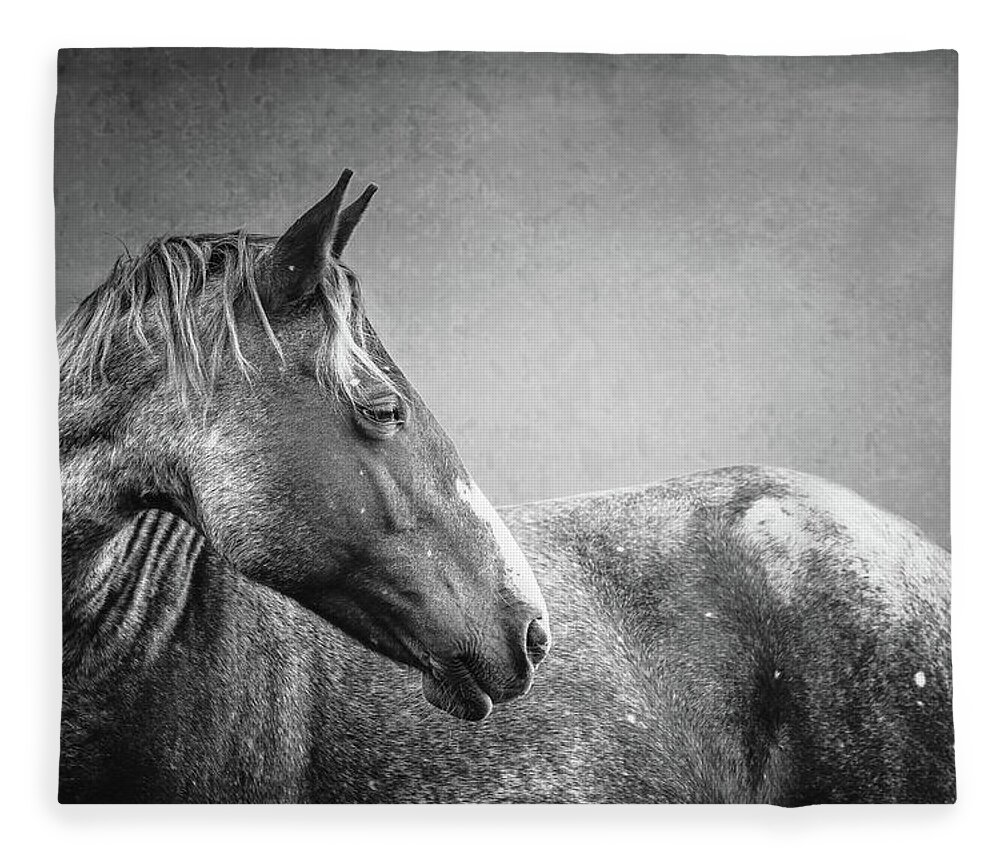 Horse Fleece Blanket featuring the photograph Avery II - Horse Art by Lisa Saint