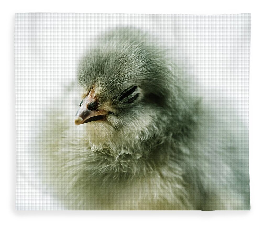 Chick Fleece Blanket featuring the photograph Baby Chick Sleeping by Ada Weyland