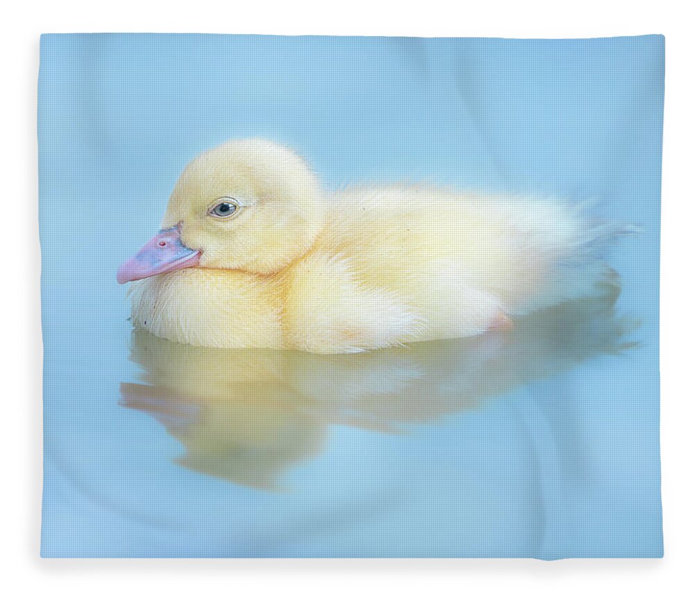 Yellow Duckling Fleece Blanket featuring the photograph Baby Duckling by Jordan Hill