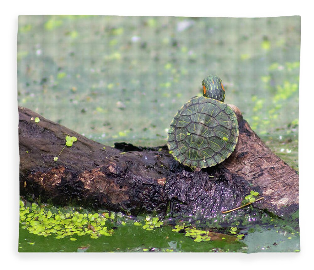 Turtle Fleece Blanket featuring the photograph Baby Turtle Enjoying a Summer Day by Auden Johnson