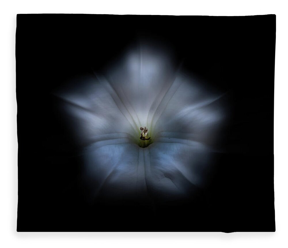Abstract Fleece Blanket featuring the photograph Backyard Flowers 24 Color Flow Version by Brian Carson
