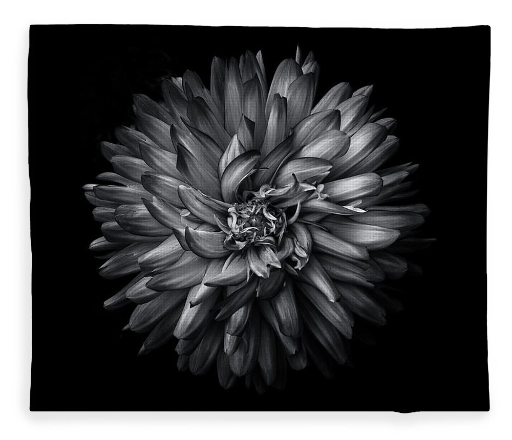 Brian Carson Fleece Blanket featuring the photograph Backyard Flowers In Black And White 20 by Brian Carson