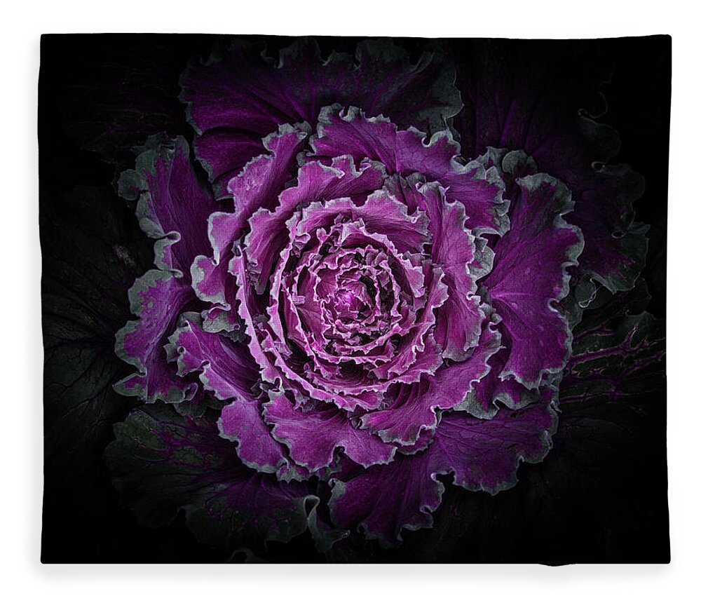 Brian Carson Fleece Blanket featuring the photograph Backyard Flowers No 97 Color Version by Brian Carson