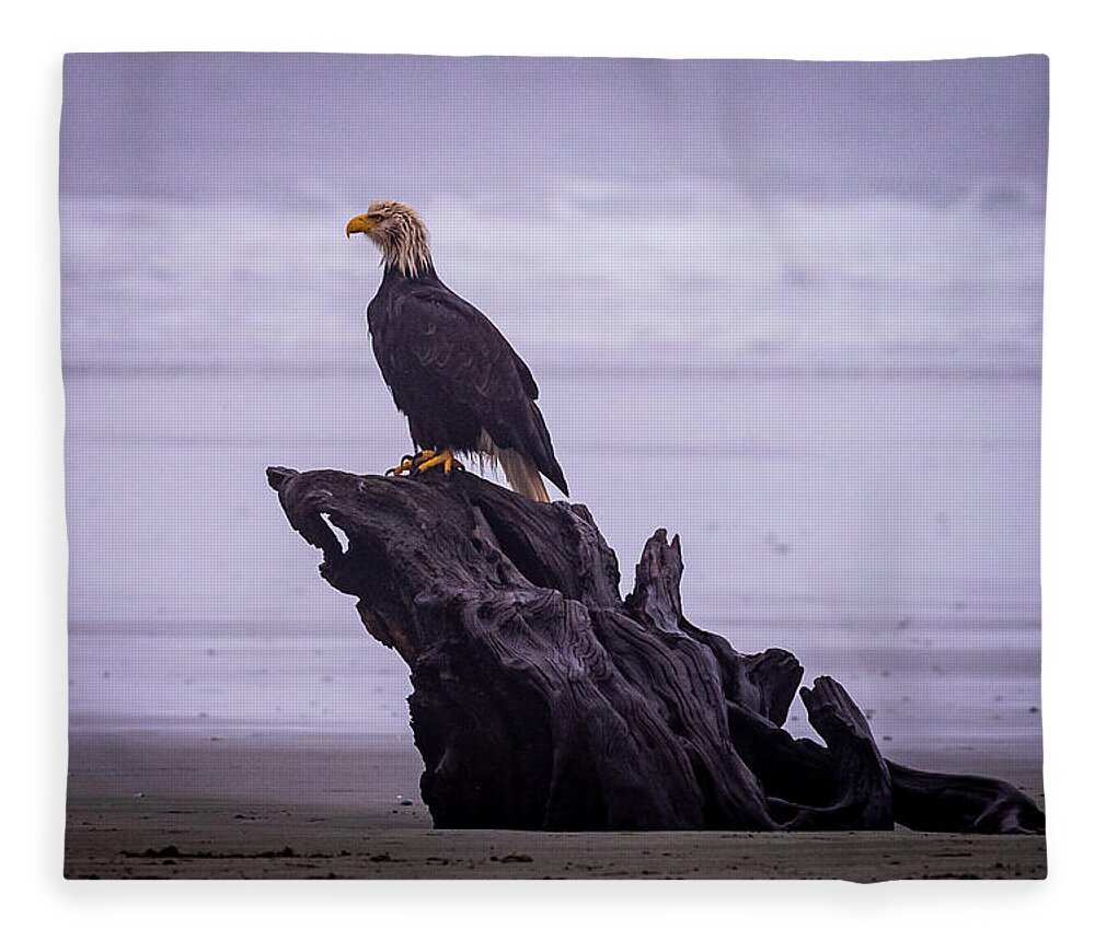Bald Eagle Fleece Blanket featuring the photograph Bad Hair Day by Stephen Sloan