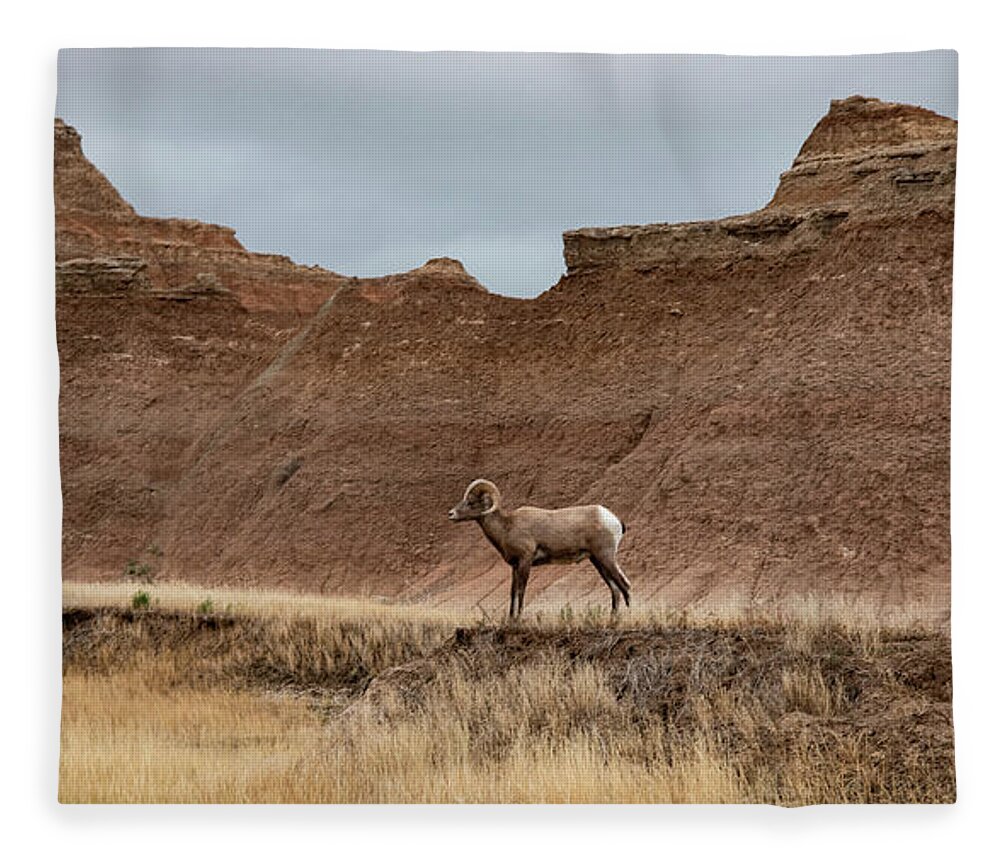  Fleece Blanket featuring the photograph Badlands 17 by Wendy Carrington