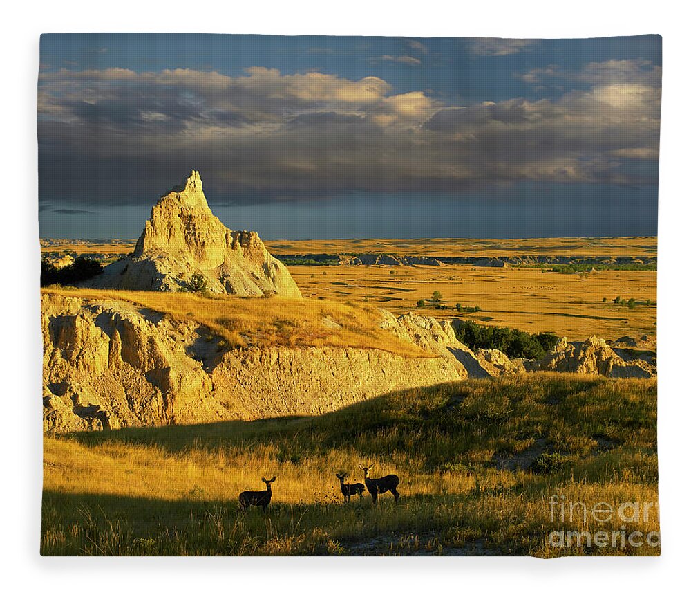 00175613 Fleece Blanket featuring the photograph Badlands Mule Deer by Tim Fitzharris