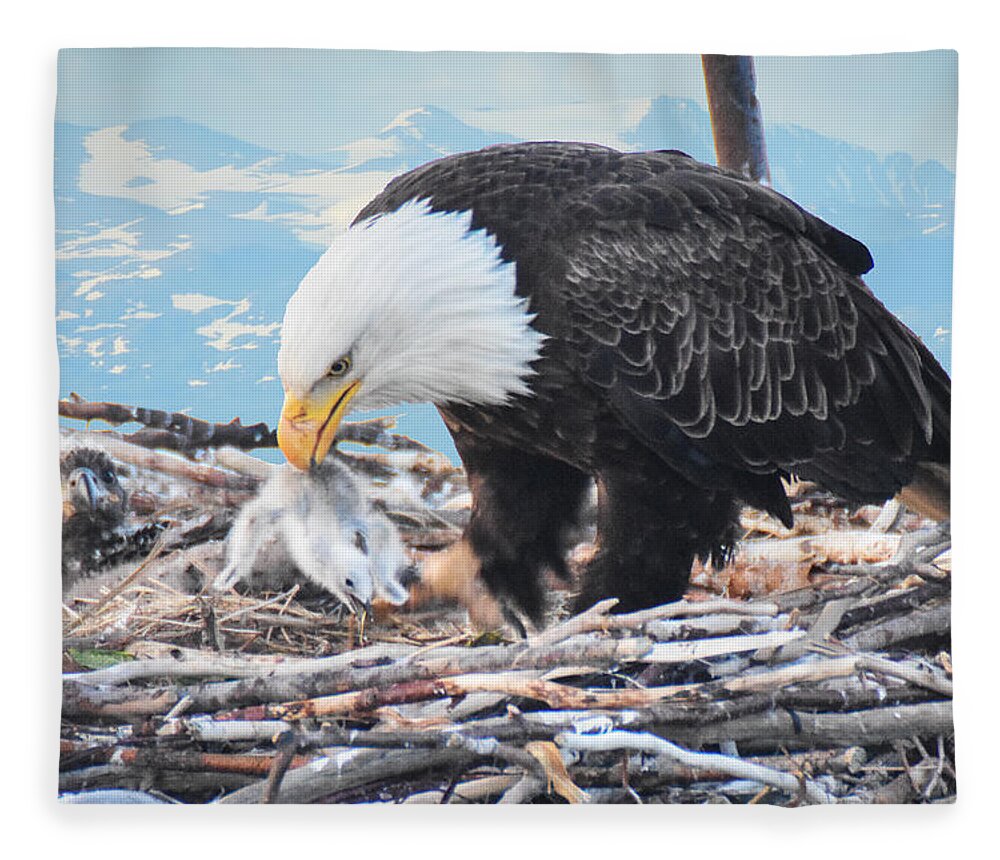 Nest Fleece Blanket featuring the photograph Bald Eagle feeding Chick by Ed Stokes