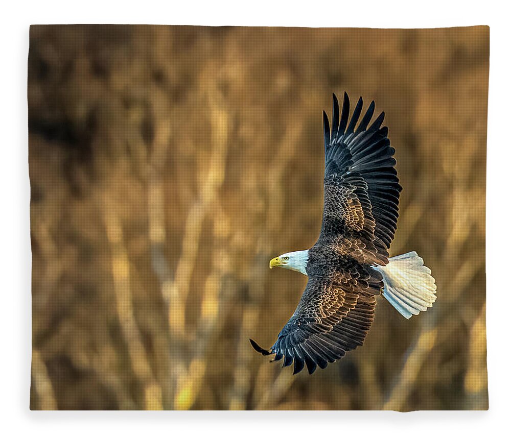 Bald Eagle Fleece Blanket featuring the photograph Bald Eagle in its glory by Brian Shoemaker