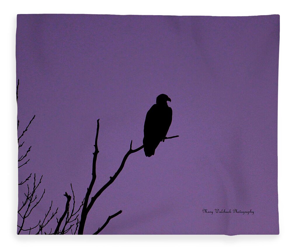 Eagle Fleece Blanket featuring the photograph Bald Eagle in Silhouette by Mary Walchuck