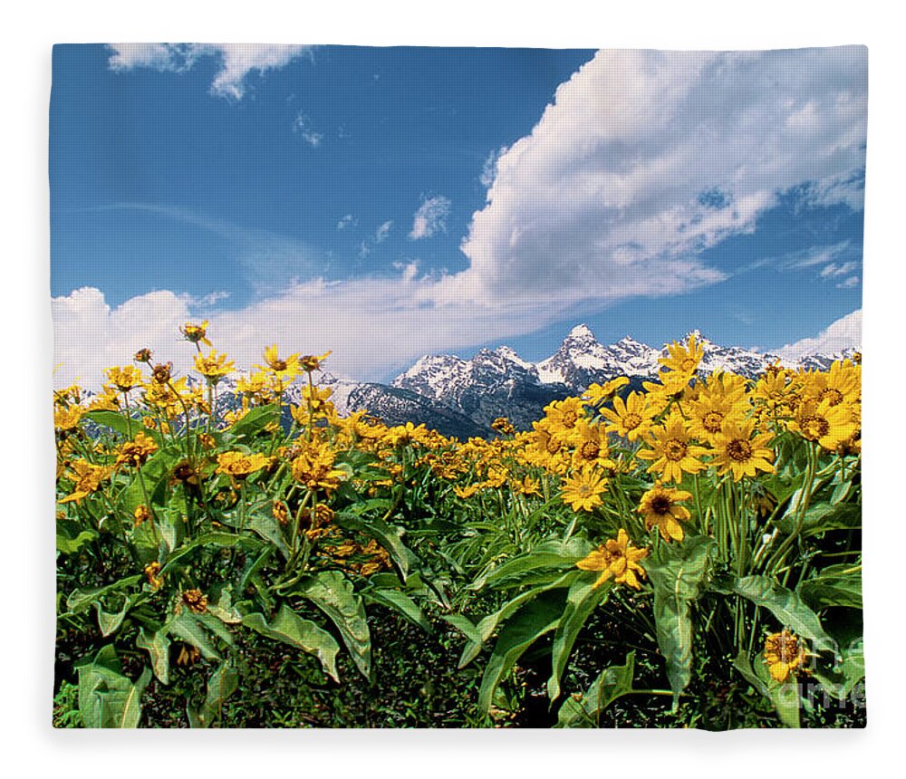Dave Welling Fleece Blanket featuring the photograph Balsamroot Below The Tetons Grand Tetons Np by Dave Welling