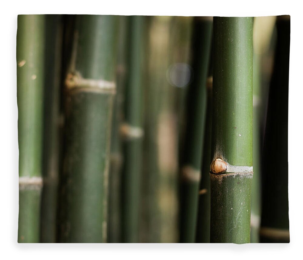 Bamboo Fleece Blanket featuring the photograph Bamboo green canes by Josu Ozkaritz
