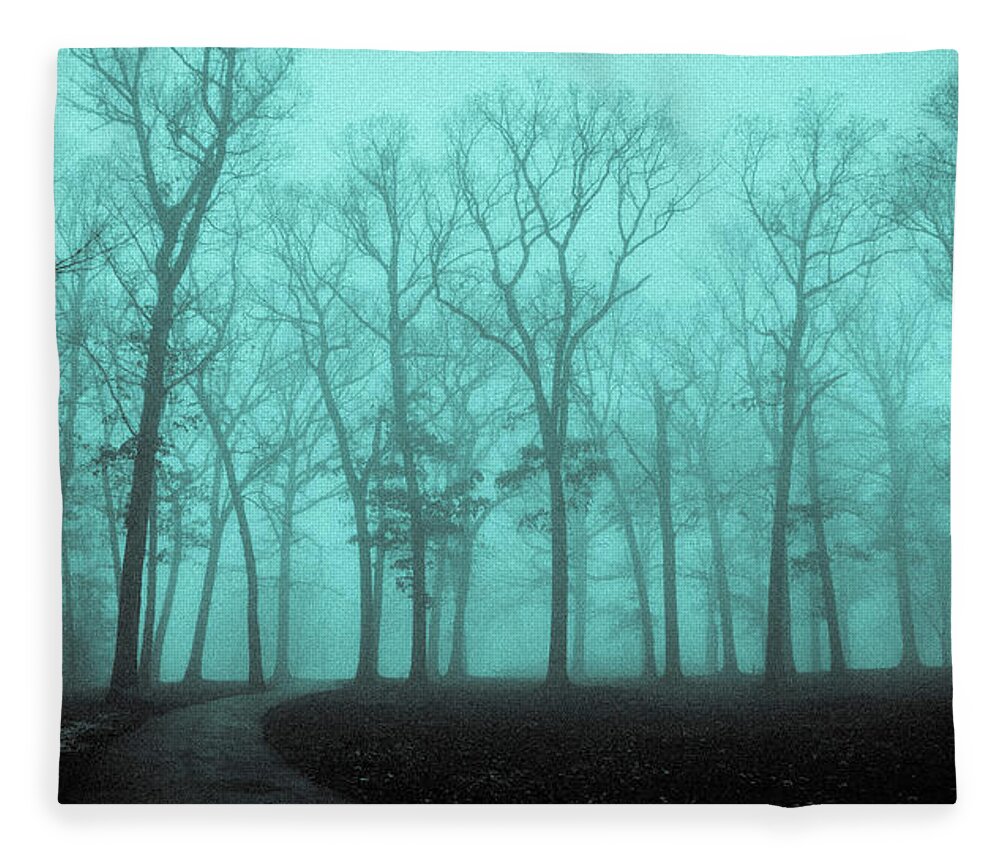 Bare Trees Foggy Morning Dellwood Park Lockport Illinois Fleece Blanket featuring the photograph Bare Trees on a Foggy Morning by David Morehead