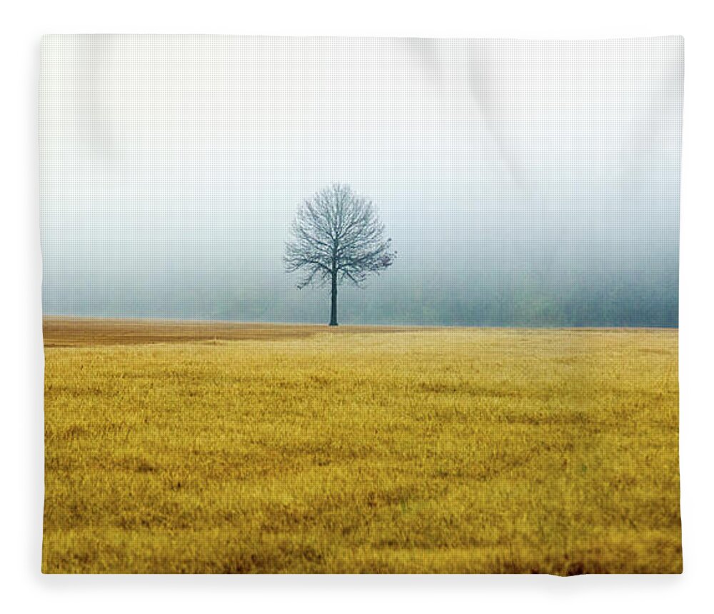 Winter Fleece Blanket featuring the photograph Bare Trees on Golden Grass by WAZgriffin Digital