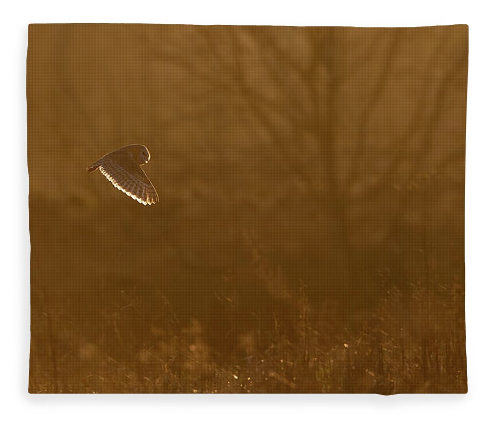 Barn Fleece Blanket featuring the photograph Barn Owl At Sunset by Pete Walkden