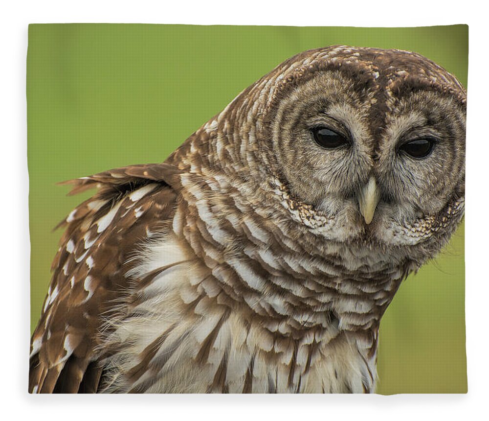 Barred Fleece Blanket featuring the photograph Barred Owl by Carolyn Hutchins