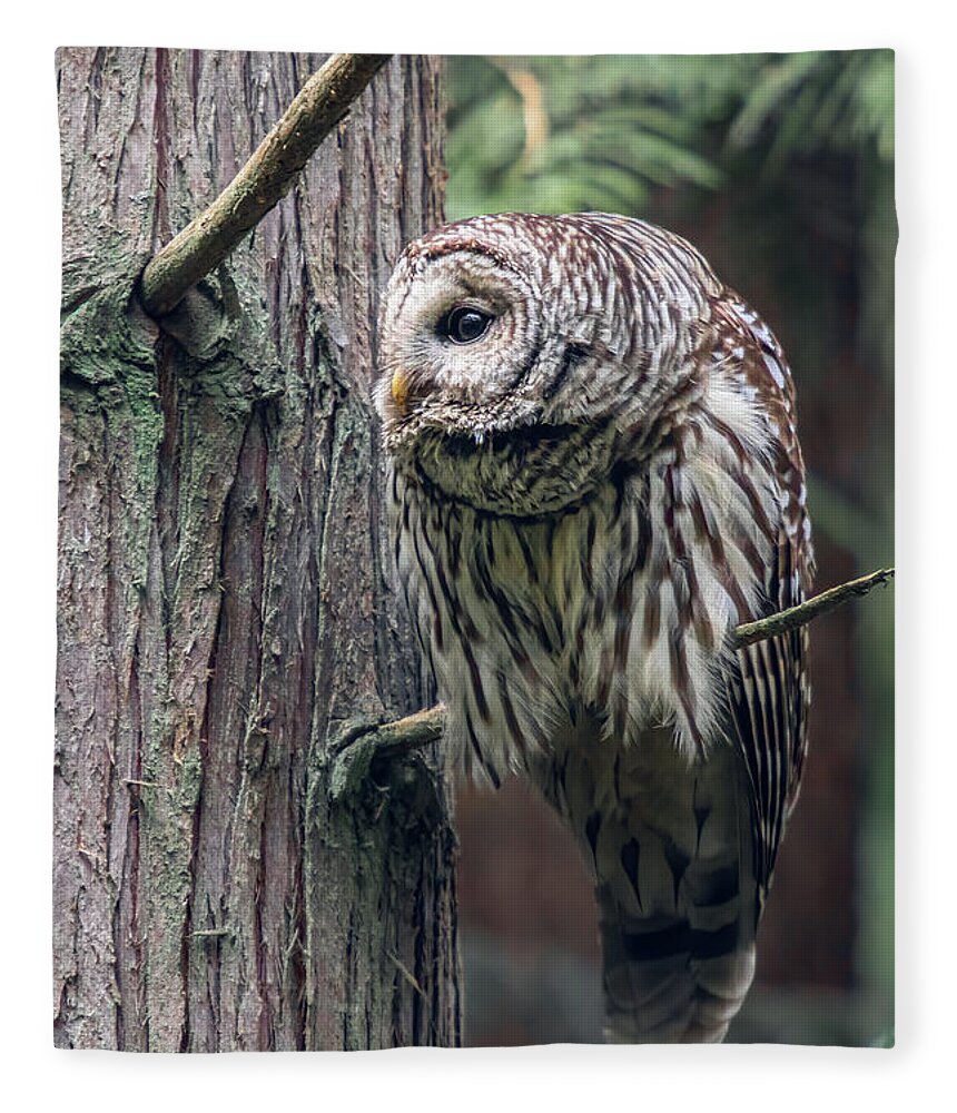 Barred Owl Fleece Blanket featuring the photograph Barred Owl Profile by Michael Rauwolf