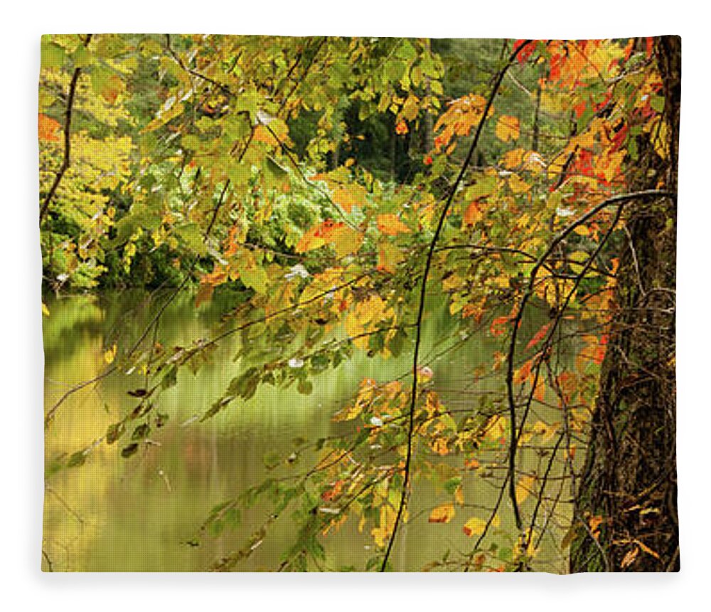 Bass Pond Fleece Blanket featuring the photograph Bass Pond Biltmore by Rob Hemphill