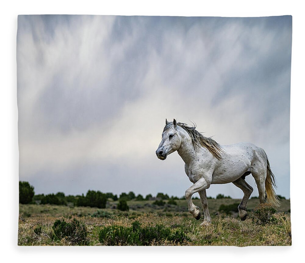 Wild Horse Fleece Blanket featuring the photograph Be the Thunder by Mary Hone