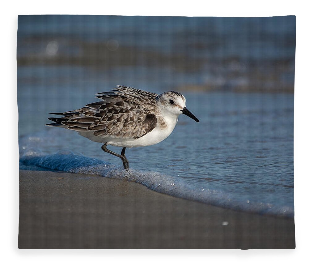Bird Fleece Blanket featuring the photograph Beach Bully by Linda Bonaccorsi