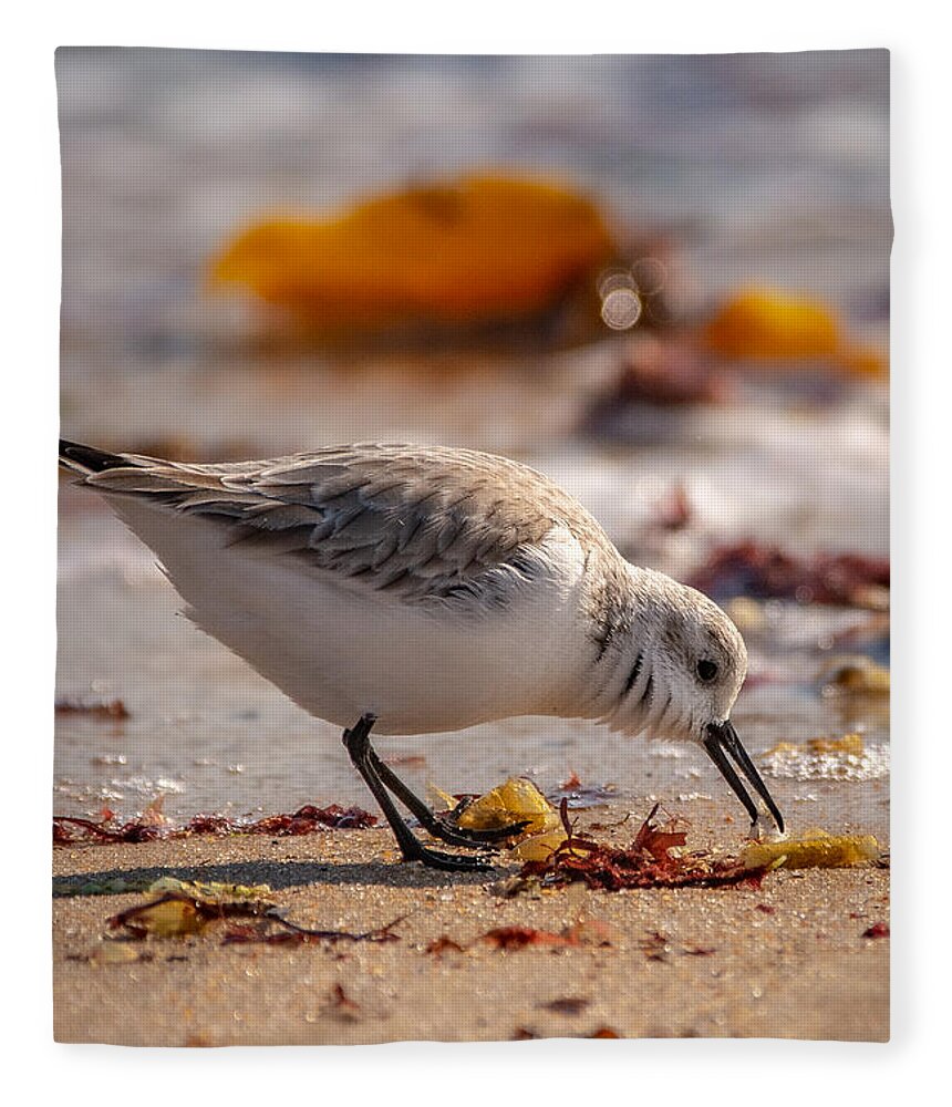 Shore Bird Fleece Blanket featuring the photograph Beach Salad by Linda Bonaccorsi